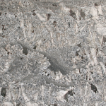 Arara Blue - Granite polished