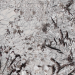 Everest White - Granite polished