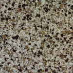 LQ2911 Charcoal - Quartz