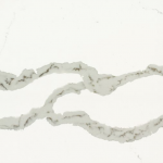 LQ5807 Oro Vena - Quartz