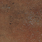 P223 Rust Steel - Arborite