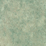 P231 Terranova - Arborite