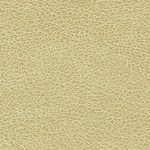 P332 Natural Chamois - Arborite