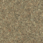 P376 Pampas Safari - Arborite