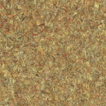 P378 Golden Safari - Arborite